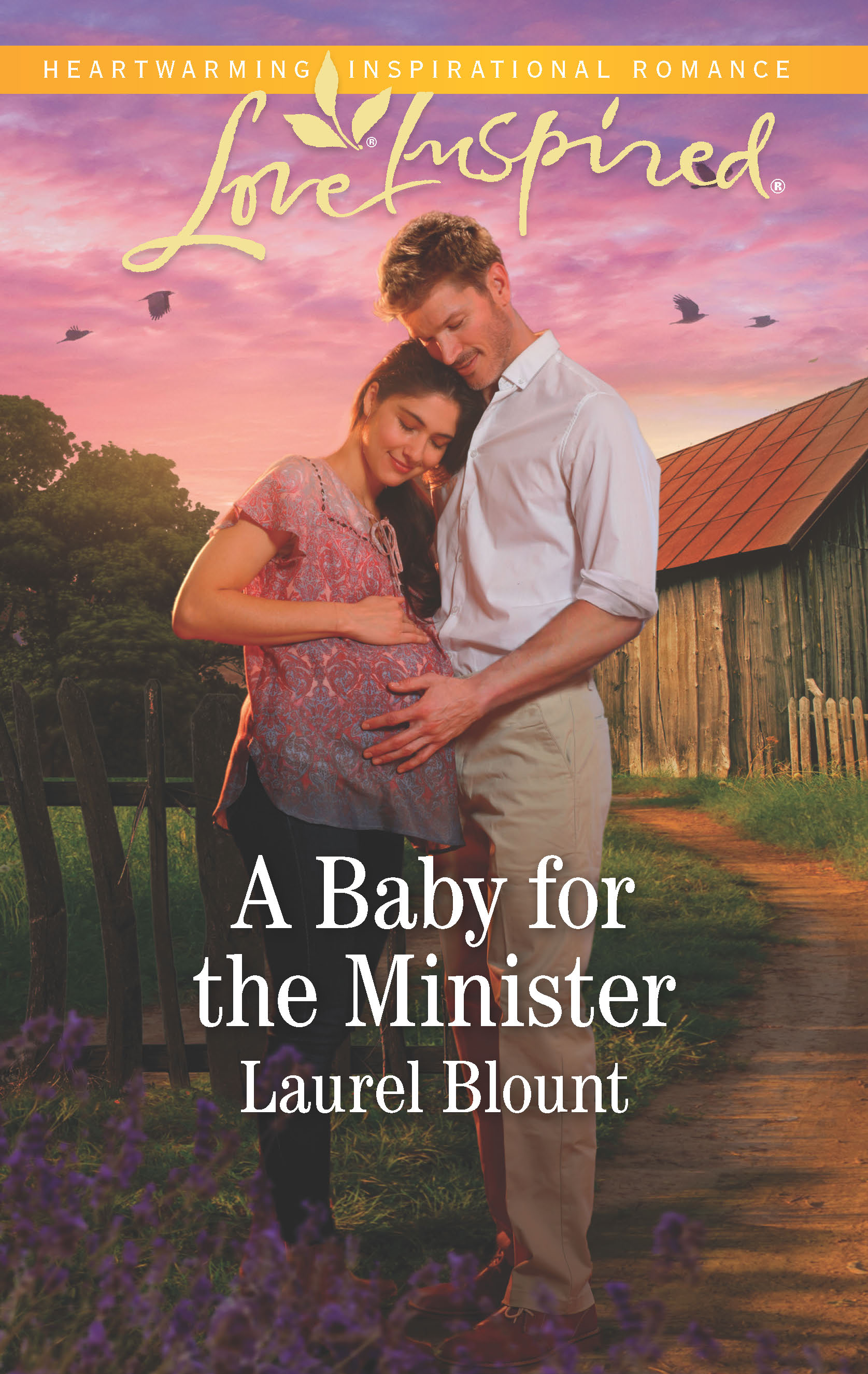 A Baby for the Minister cover